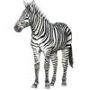 Poster Bintje Zebra