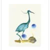 Poster Blauwgroene Reiger 30 x 40 cm