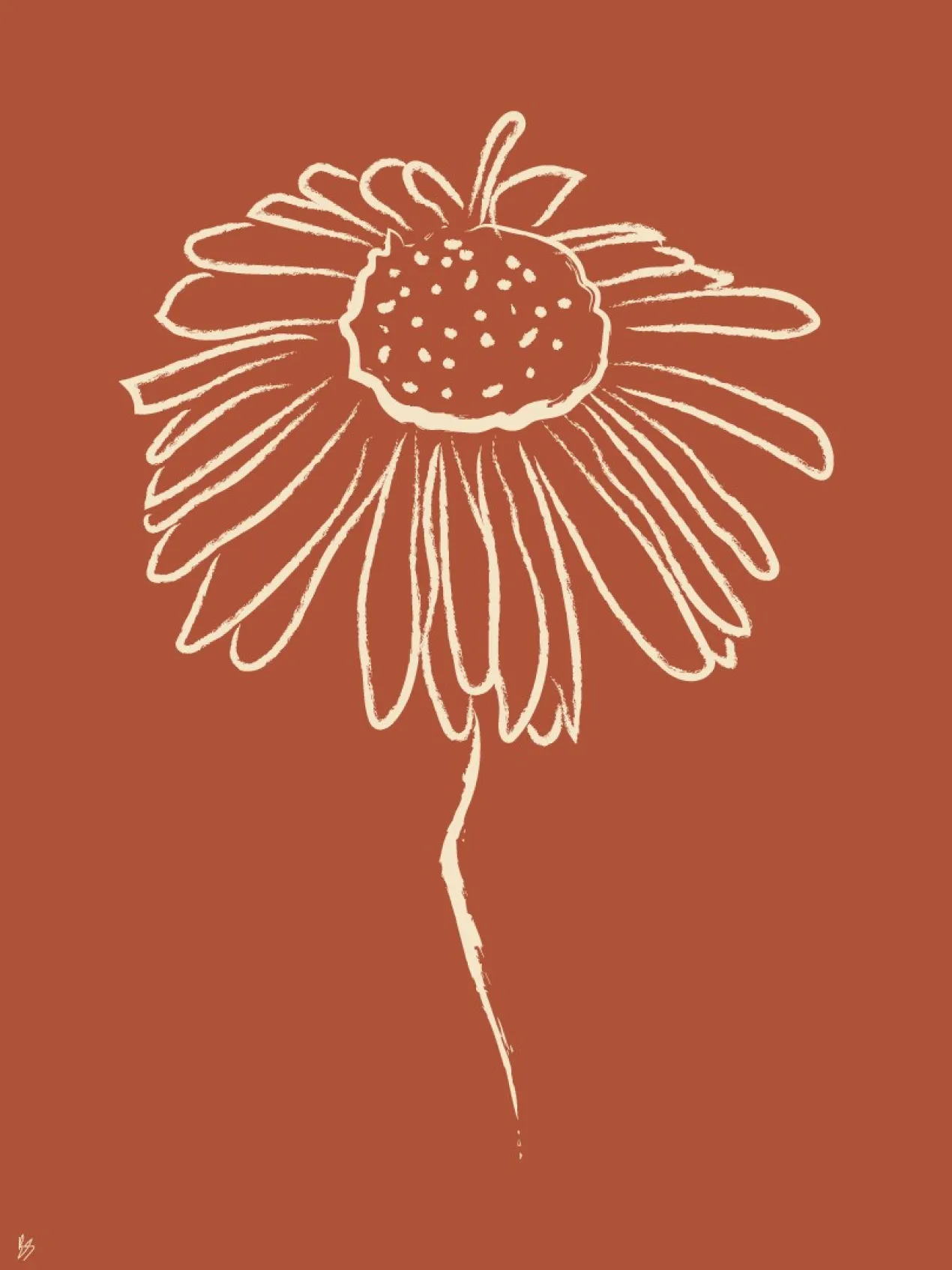 Poster Daisy 40 x 50 cm