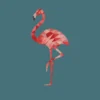 Poster Flamingo 40 x 50 cm
