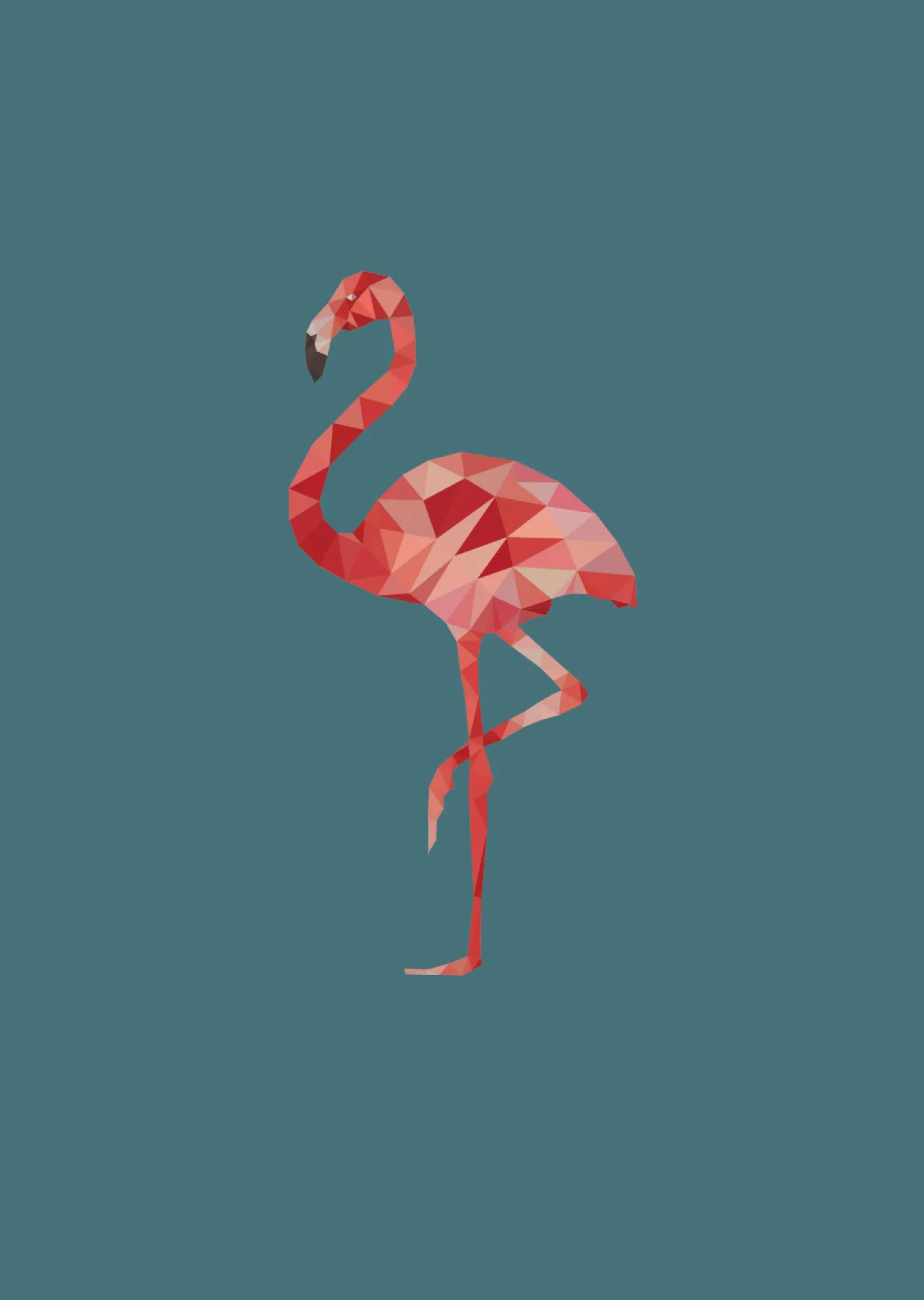 Poster Flamingo 40 x 50 cm