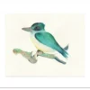 Poster Groene IJsvogel 40 x 50 cm