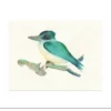 Poster Groene IJsvogel 30 x 40 cm
