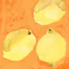 Poster Lemons 50 x 70 cm