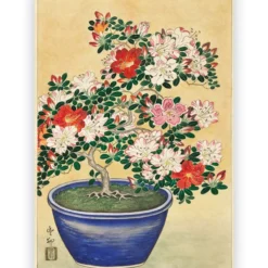 Poster Ohara Koson - Blooming Azalea in Blue Pot 70x100 cm