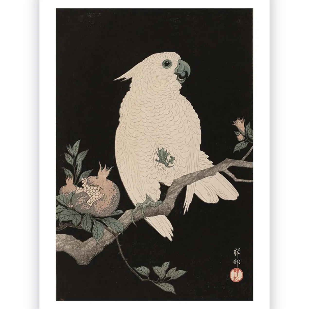 Poster Ohara Koson - Cockatoo Pomegranate 50x70 cm