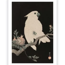 Poster Ohara Koson - Cockatoo Pomegranate 60x90 cm