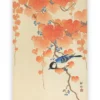 Poster Ohara Koson - Great Tit on Branch 70x100 cm