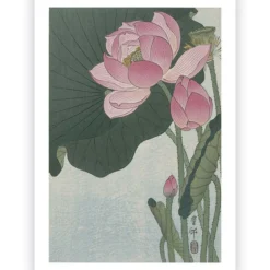 Poster Ohara Koson - Lotus Flower 60x90 cm