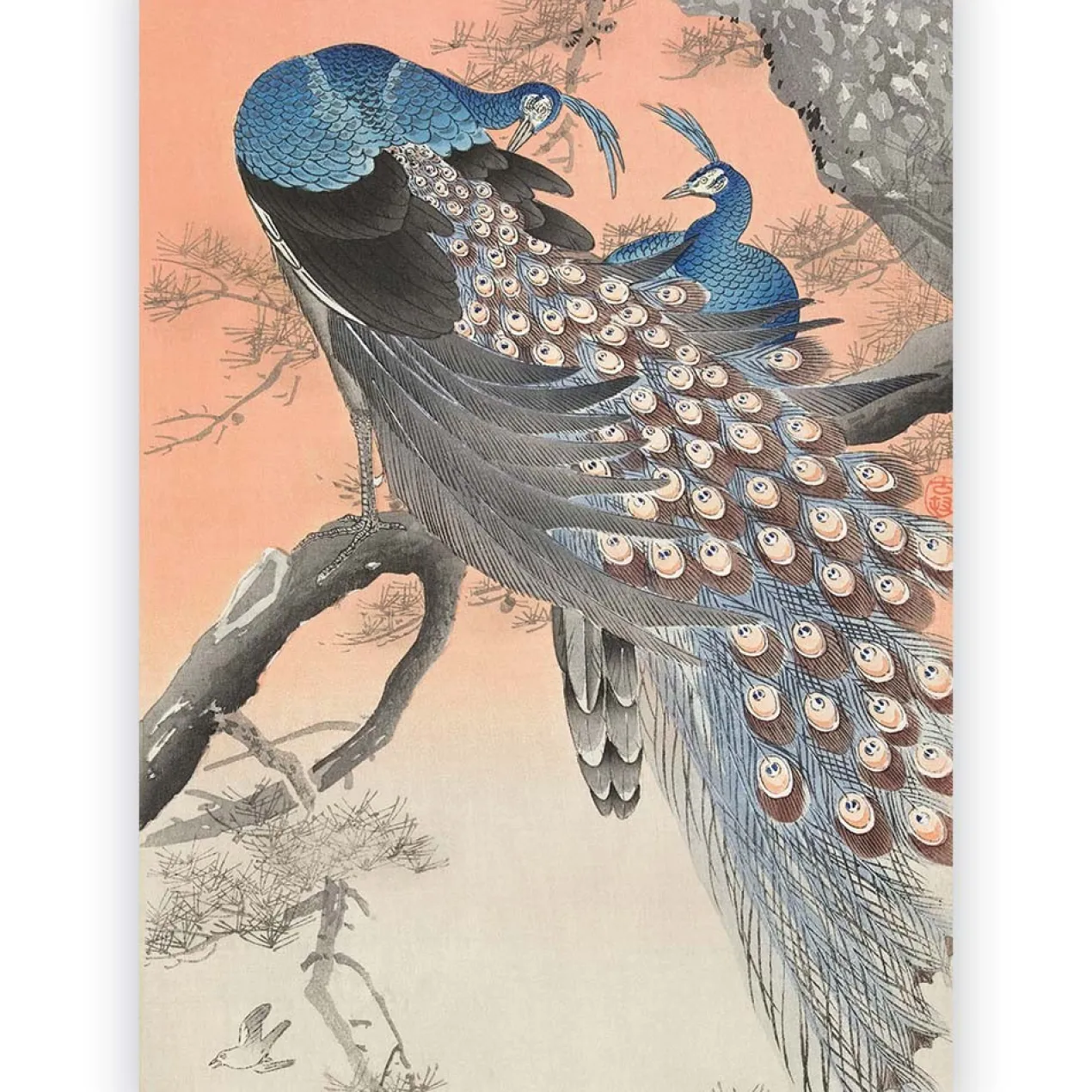 Poster Ohara Koson - Two Peacocks on a Branch 40x60 cm