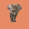 Poster Olifant 40 x 50 cm
