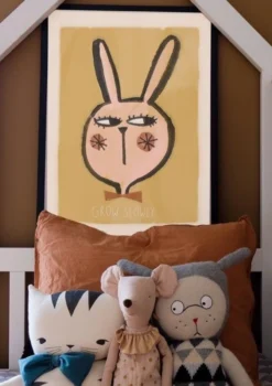 Poster teddy