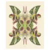 Poster Tiger Lily Magic 40 x 50 cm
