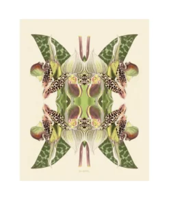 Poster Tiger Lily Magic 40 x 50 cm