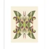 Poster Tiger Lily Magic 30 x 40 cm