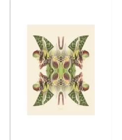 Poster Tiger Lily Magic 30 x 40 cm