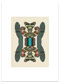 Poster Unfolding Butterfly 30 x 40 cm