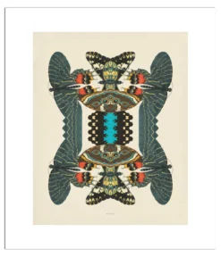 Poster Unfolding Butterfly 40 x 50 cm