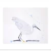 Poster Witte Reiger 20 x 30 cm