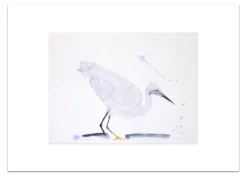 Poster Witte Reiger 30 x 40 cm