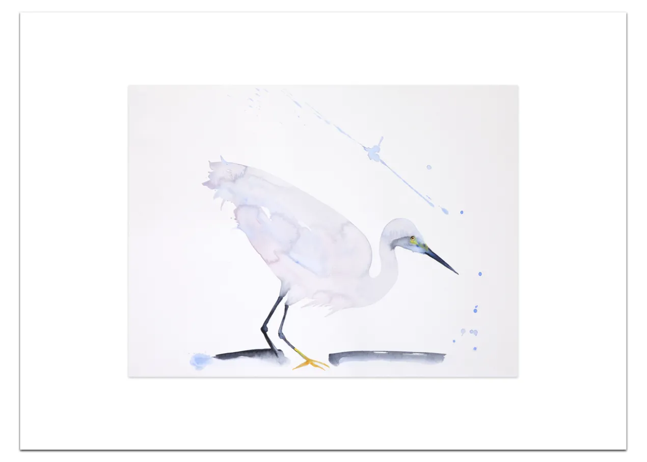 Poster Witte Reiger 30 x 40 cm