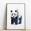 Poster 50x70 Panda
