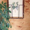 Puhlmann Frame 1
