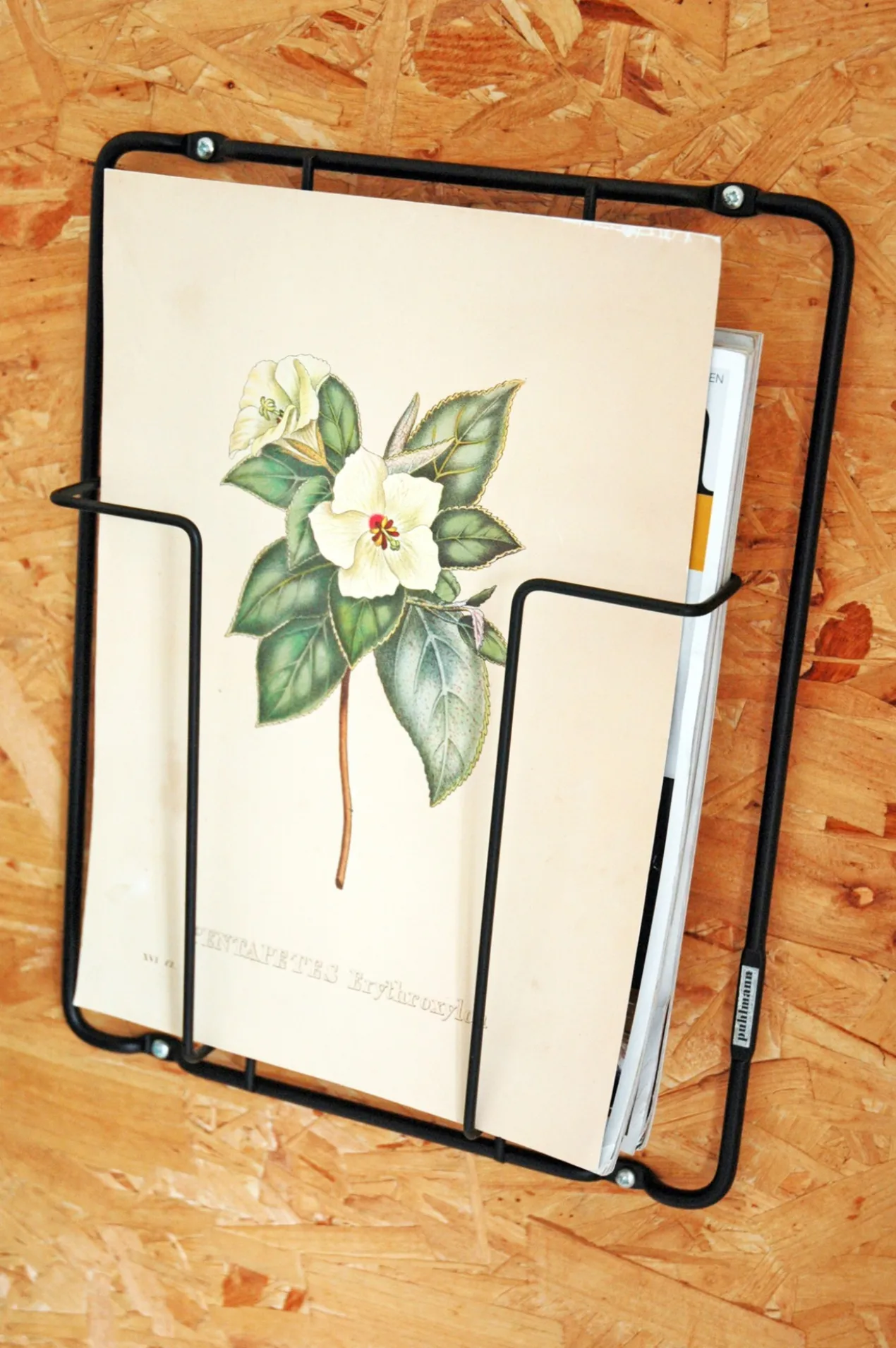 Puhlmann Frame 1