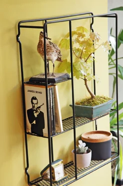 Puhlmann Showcase Frame