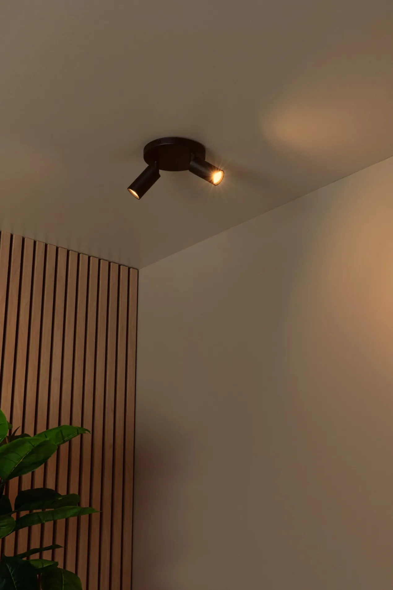 RITMO PLAFONDSPOT Ø 15CM 2-LICHTS ZWART