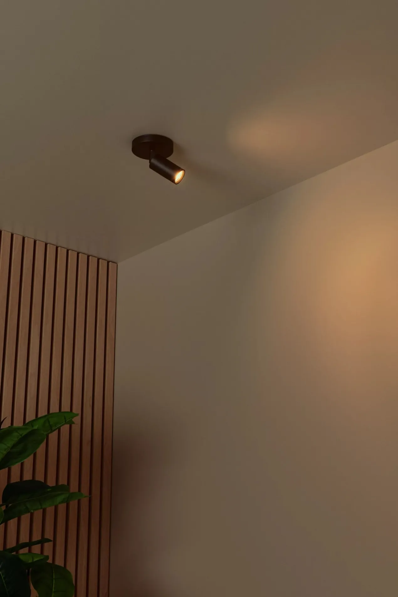 RITMO PLAFONDSPOT Ø 10CM ZWART