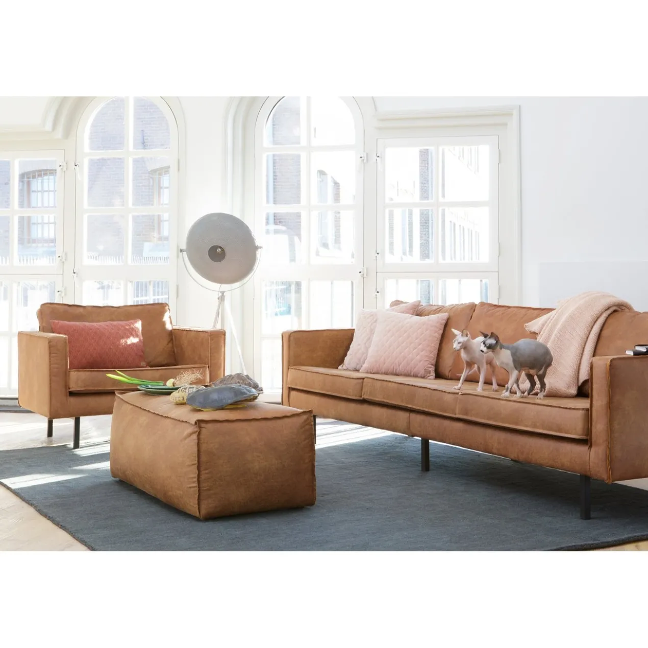 Rodeo fauteuil ecoleer cognac