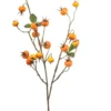 Rosehip yellow