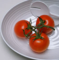 Saladeschaal Granite Pearl inclusief slabestek