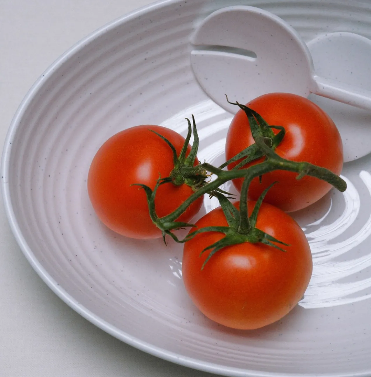 Saladeschaal Granite Pearl inclusief slabestek