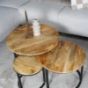 Salontafel Erjan Naturel - Set van 3