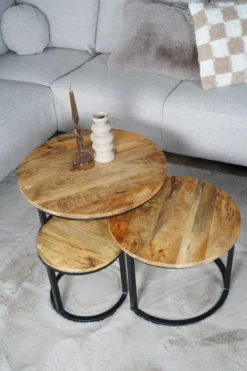 Salontafel Erjan Naturel - Set van 3