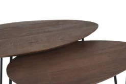 Salontafel Fabio Espresso Mangohout – Set van 2
