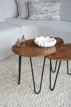 Salontafel Fabio Espresso Mangohout – Set van 2