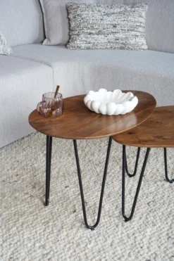 Salontafel Fabio Espresso Mangohout – Set van 2