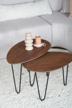 Salontafel Fabio Espresso Mangohout – Set van 2