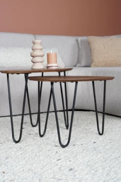 Salontafel Fabio Espresso Mangohout – Set van 2