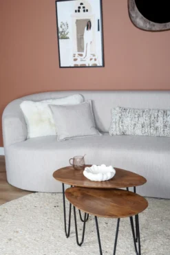 Salontafel Fabio Mangohout – Set van 2