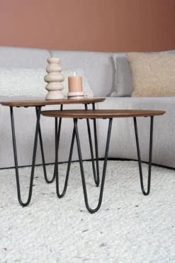 Salontafel Fabio Mangohout – Set van 2