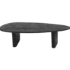 Salontafel Rudo Mangohout zwart
