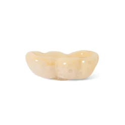 Schaal glas oyster