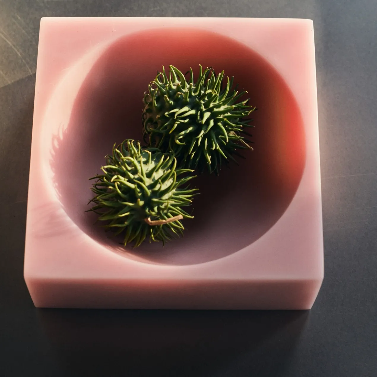 Schaal Pop cube L pink