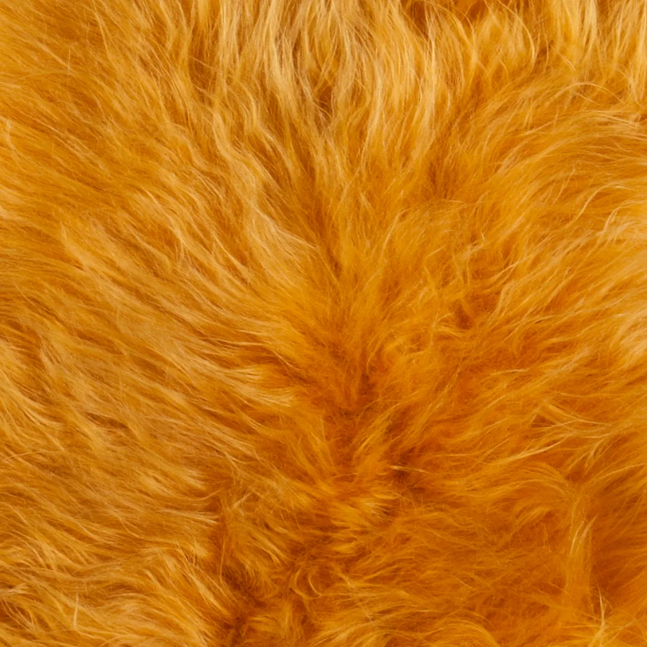 Schapenvacht icelandic yellow longhair 100×65 cm