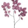 Schefflera spray