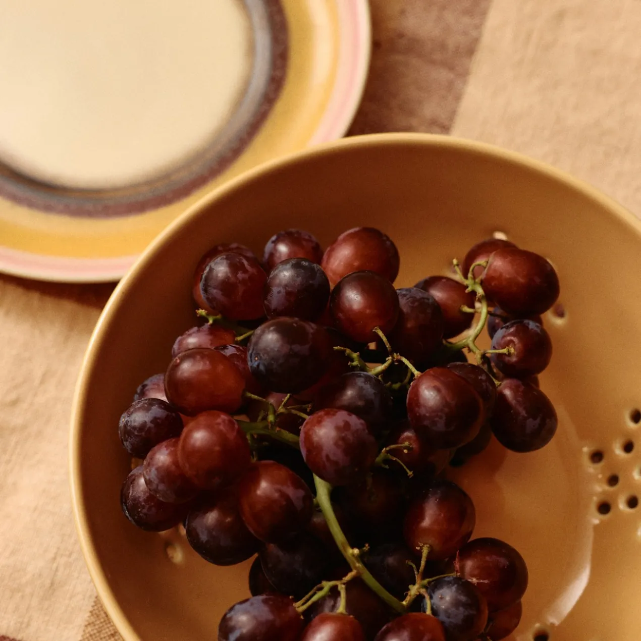 Servies 70's Ceramics schaal Berry sunset